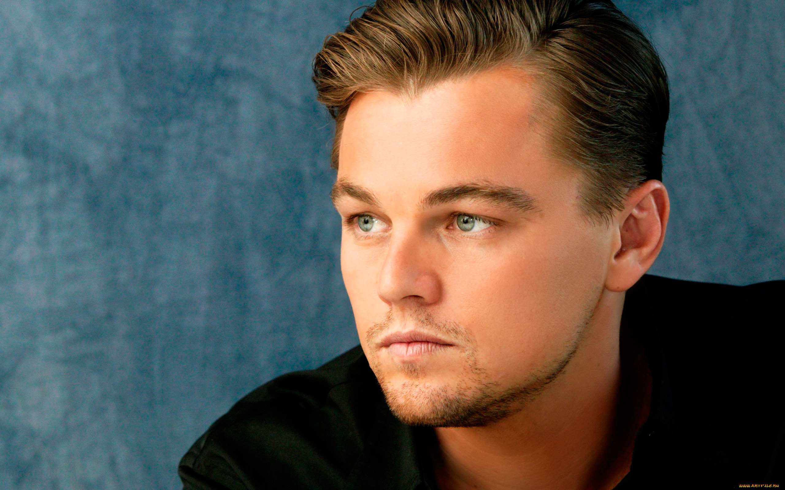 leonardo, dicaprio, 